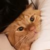 caspar :/