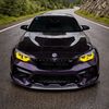 Raph_M2C