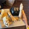 Joint Reduction Simulation Lab