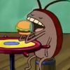 roach