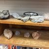 Geology Professor