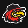 Rochester Red Wings