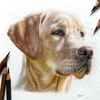 Ruby Welstead Artist