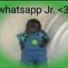 Sanke
