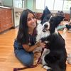 Sam Ferrante | Vet Student