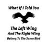 Same Bird