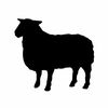 Shepherd Express