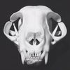 Shiner Skulls & Articulations