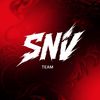 snv..team