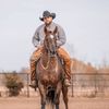 Snyder Performance Horses