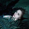 Тгк:SofiaSwan