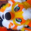 SplinterFox