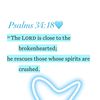 Jesus is King