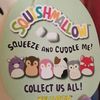 ♡︎squishmallow♡︎