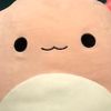 in luv with squishmallows