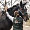 Stable Mix