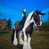 🐴❤️SSO❤️🐴