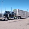 St.Clair Livestock