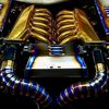 Stinger_Auto Photography