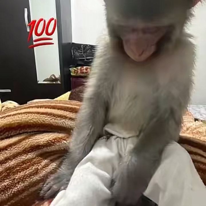 Stop