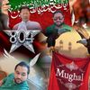 subhani pti 804