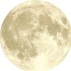 sunbather, moonchaser