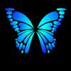 user5685161392802