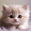 Teddy_Felines 🧸🐾