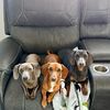 3minidoxies
