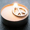 TheAgentsOfPeace