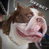 FamousBullyOffset