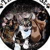 RCC | Evidence-based cat care