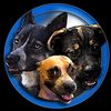 The Rottsky Pack
