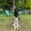 Roxy & Ghost