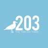 THE 203