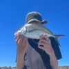 TobyFarn🦈🎣