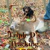 TripleDsTracking
