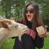 PETopia_animal lover