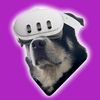 Vardo