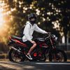 vik?, dalem