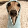 WarmCreator