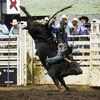 westen wade