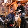 willysworkshop