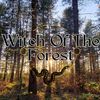 Witch Of The Forest
