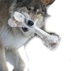 Wolf's Bone