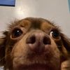 worldofcoco