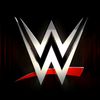 Wwe Fan