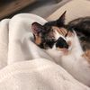 furr_eva
