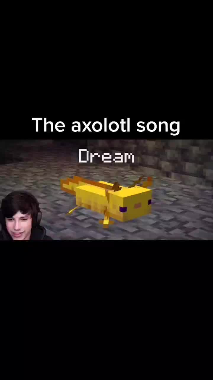 #dream #fyp #dreamwastaken #minecraft #george #georgenotfound #mcyt #axolotl