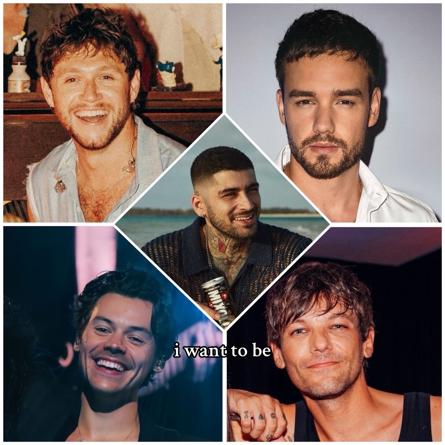 #onedirection #onedirectionreunion #niallhoran #zaynmalik #louistomlinson #liampayne #harrystyles #shadowbanned 